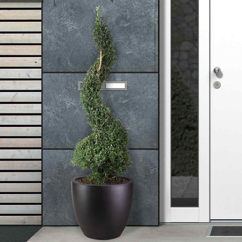 IDEALIST Lite 40cm Garden Planter | Washed Light Concrete Egg Round Planter | Contemporary Outdoor Plant Pot D40 H40 cm, 50L