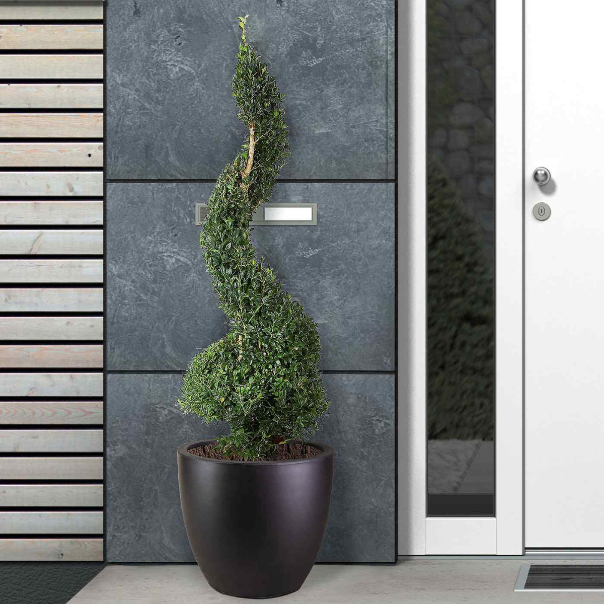 IDEALIST Lite 40cm Garden Planter | Washed Light Concrete Egg Round Planter | Contemporary Outdoor Plant Pot D40 H40 cm, 50L