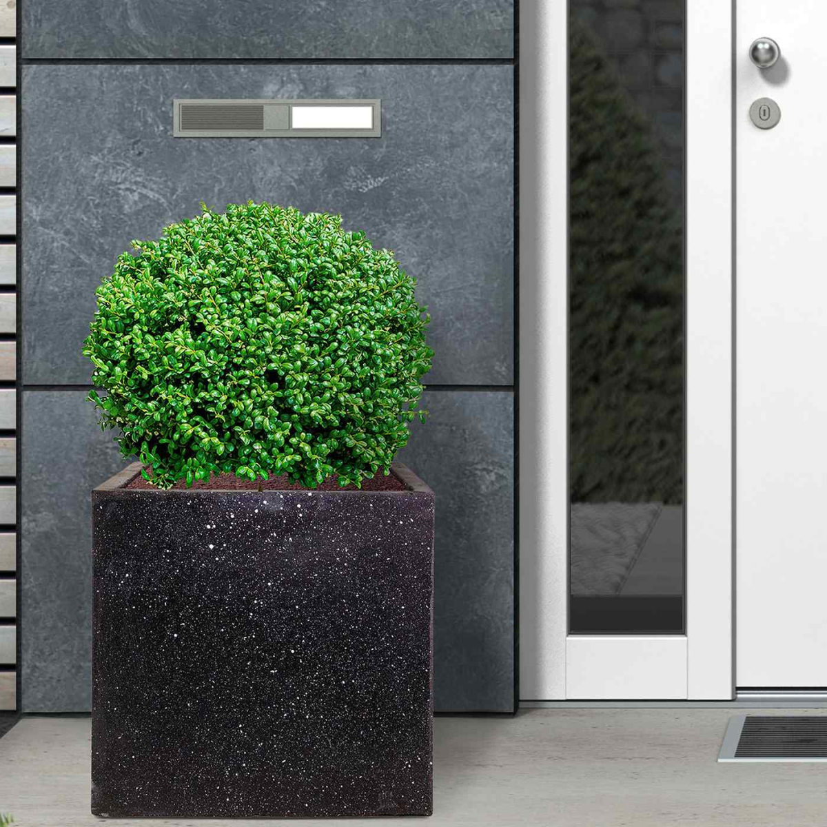IDEALIST Lite Contemporary Flower Box Square Garden Planter, Light Concrete Outdoor Large Plant Pot H30 L30 W30 cm, 28L
