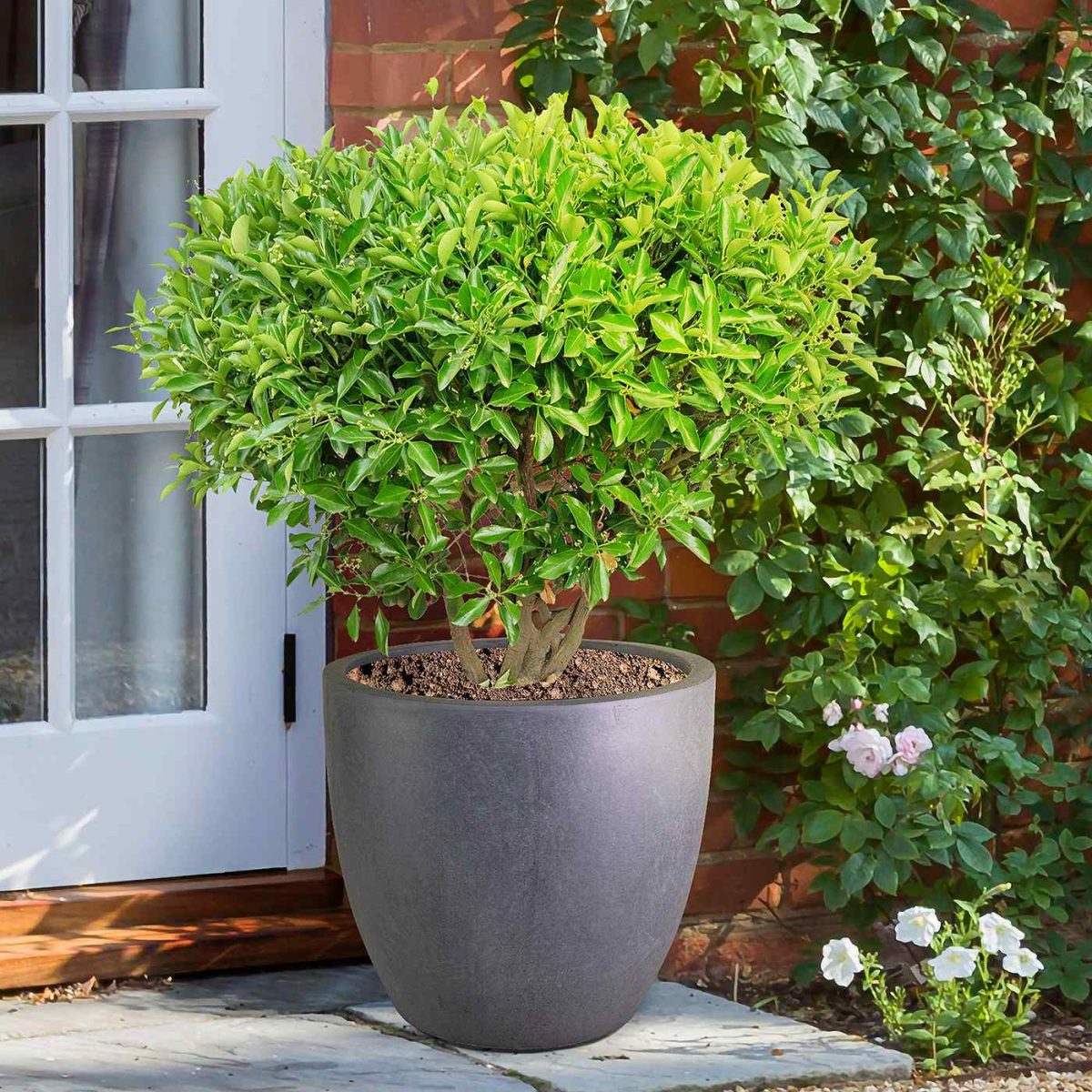 IDEALIST Lite 40cm Garden Planter | Washed Light Concrete Egg Round Planter | Contemporary Outdoor Plant Pot D40 H40 cm, 50L